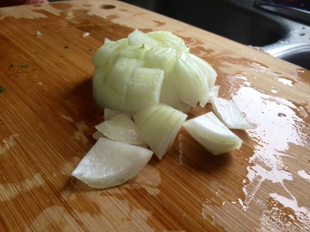salsa onion